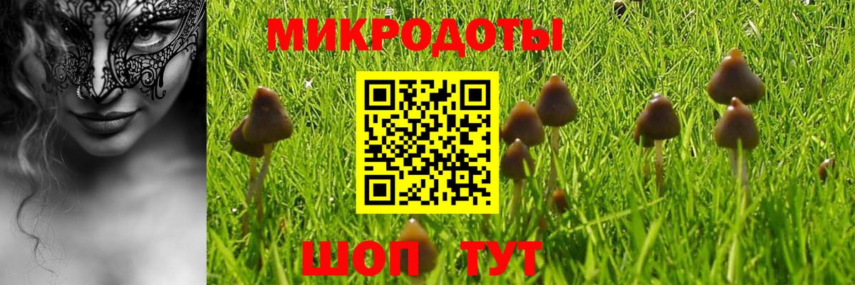 Псилоцибиновые грибы GOLDEN TEACHER  что такое   Вход с VPN  Биробиджан  Галлюциногенные грибы мицелий 