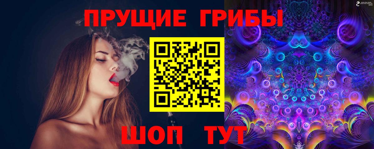 Псилоцибиновые грибы Psilocybine cubensis Биробиджан